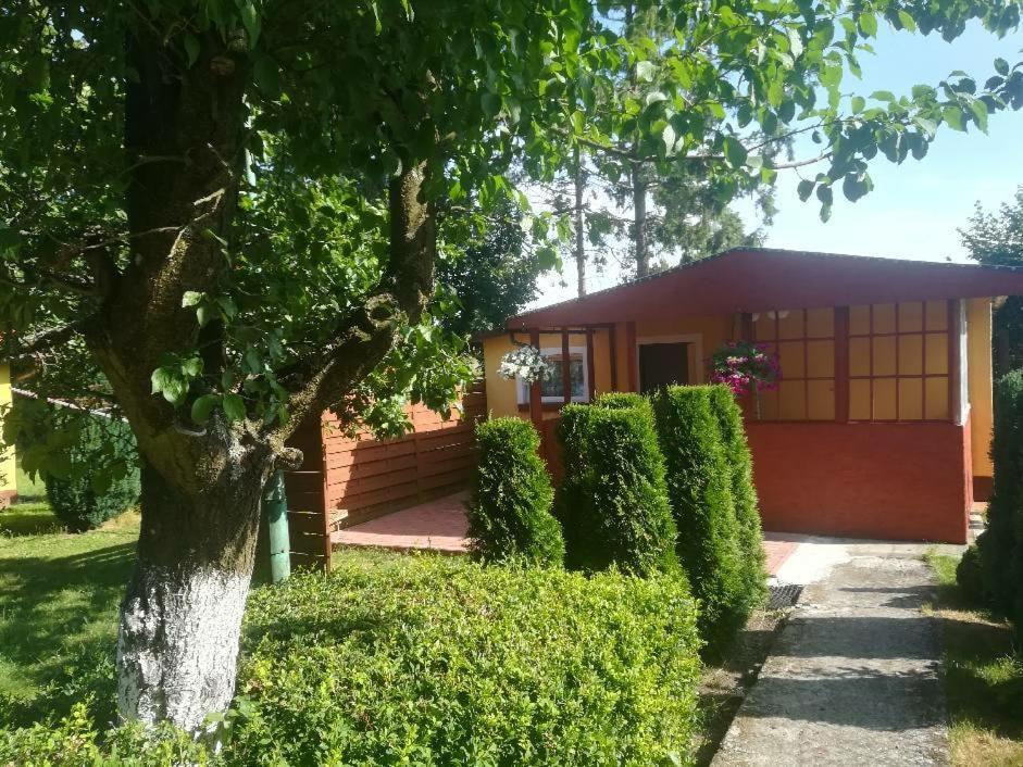 Pod Jablonia Jezierzany Exterior foto